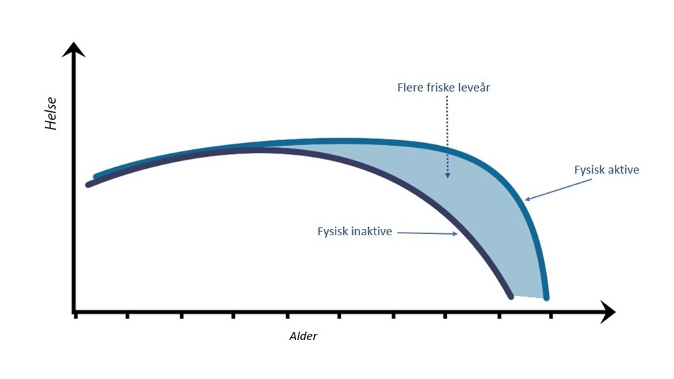 Kurve som viser positive effekter av fysisk aktivitet